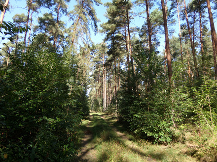 Foto - Grundstück zu verkaufen in Hohennauen 541.000,00 € 360000 m²