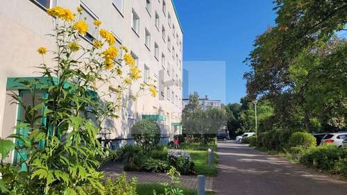 Foto - Wohnung zum Kaufen in Cottbus 83.000,00 € 58 m²