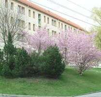 Wohnung zum Mieten in Stollberg 270,00 € 57.3 m²