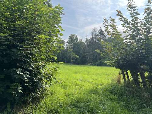 Foto - Grundstück zu verkaufen in Rehburg-Loccum 140.000,00 € 2264 m²