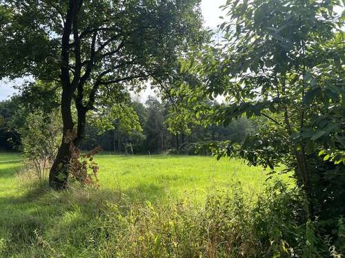 Foto - Grundstück zu verkaufen in Rehburg-Loccum 140.000,00 € 2264 m²