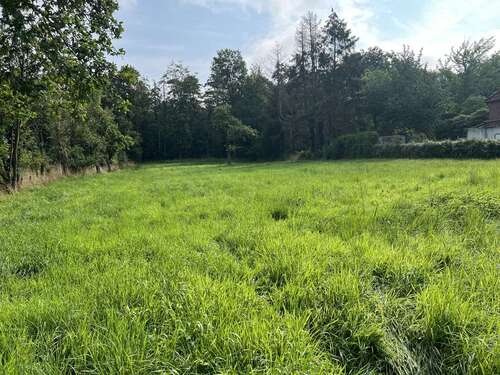 Foto - Grundstück zu verkaufen in Rehburg-Loccum 140.000,00 € 2264 m²