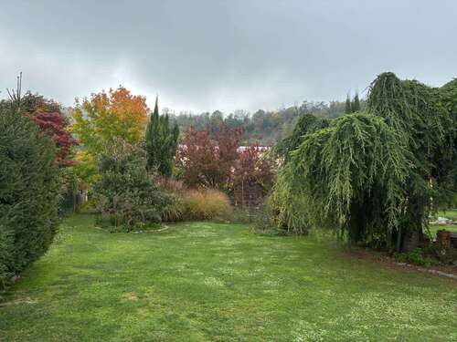 Foto - Grundstück zu verkaufen in Vogtsburg am Kaiserstuhl 310.000,00 € 1019 m²