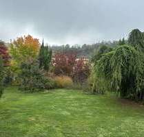 Grundstück zu verkaufen in Vogtsburg am Kaiserstuhl 310.000,00 € 1019 m²