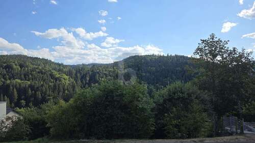 Foto - Grundstück zu verkaufen in Triberg 149.000,00 € 781 m²