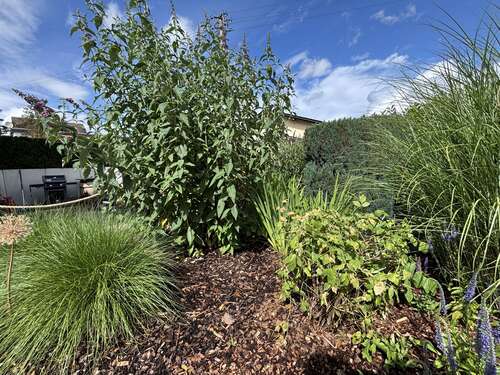 Foto - Haus zum Mieten in Dehrn 1.079,00 € 111 m²