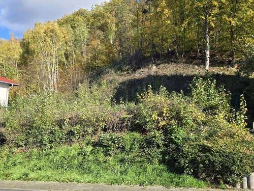 Foto - Grundstück zu verkaufen in Breuberg Sandbach 119.000,00 € 590 m²