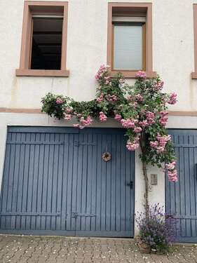 Foto - Haus zum Mieten in Otzberg 1.500,00 € 167 m²