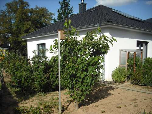 Foto - Haus zum Kaufen in Springe 419.000,00 € 100 m²