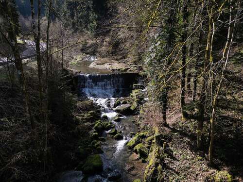 Foto - Haus zum Kaufen in Alpirsbach 246.000,00 € 200 m²