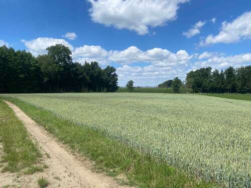 Foto - Grundstück in Neustadt a.d.Donau - Oberulrain 174.138,40 € 15976 m²