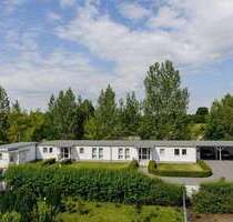 Büro in Lauchhammer 250,00 € 14 m²