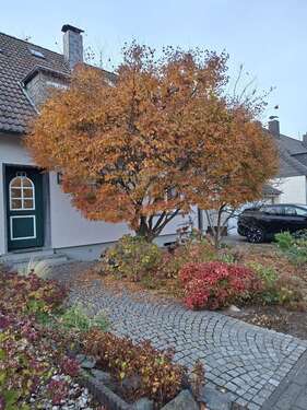 Foto - Haus zum Kaufen in Moers-Vennikel 529.000,00 € 157 m²