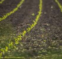 Grundstück in Warmsen 406.900,00 € 62600 m²