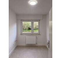 Wohnung zum Mieten in Annweiler 800,00 € 65 m²