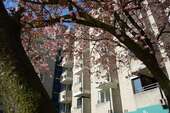 Wohnung zum Mieten in Schwelm, Ennepe-Ruhr-Kreis 545,00 € 58 m²