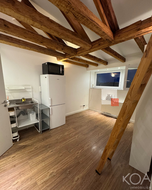 Foto - Wohnung zum Mieten in Frankfurt am Main Höchst 399,00 € 21 m²