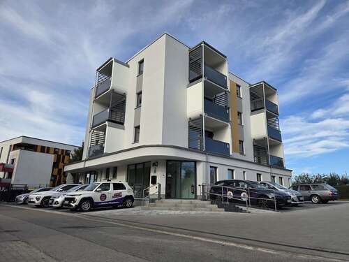 Foto - Wohnung zum Mieten in Stralsund 335,29 € 35 m²