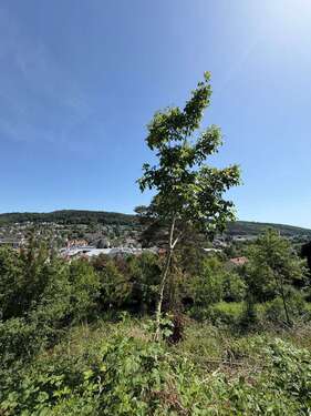 Foto - Grundstück zu verkaufen in Mosbach 300.000,00 € 756 m²