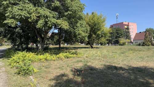 Foto - Grundstück zu verkaufen in Cottbus 130.780,00 € 1006 m²