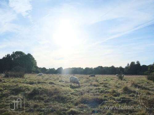 Foto - Haus zum Mieten in Wiesmoor 1.075,00 € 101.59 m²