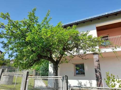 Foto - Haus zum Kaufen in Rodenbach 450.000,00 € 164 m²
