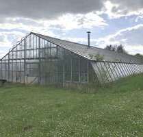 Halle in Kirchardt 600,00 € 200 m²