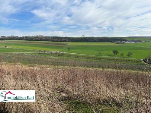 Foto - Grundstück zu verkaufen in Wincheringen 344.800,00 € 1292 m²