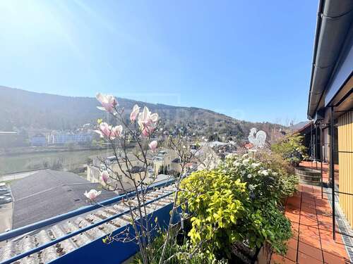 Foto - Wohnung zum Kaufen in Heidelberg Ziegelhausen 705.000,00 € 214 m²