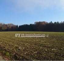 Spezialgewerbe in Schöffelding 315.000,00 € 35008 m²