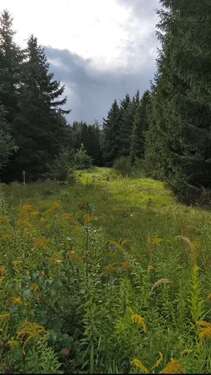 Foto - Grundstück zu verkaufen in Teltow 695.000,00 € 1500 m²