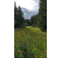 Grundstück zu verkaufen in Teltow 695.000,00 € 1500 m²