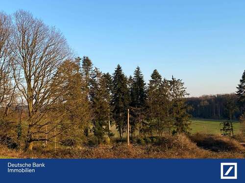 Foto - Grundstück zu verkaufen in Solingen 250.000,00 € 10700 m²
