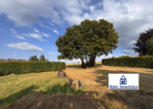 Grundstück zu verkaufen in Stolberg (Rheinland) 209.000,00 € 700 m²