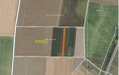 Foto - Grundstück zu verkaufen in Echzell 15.500,00 € 1621 m²