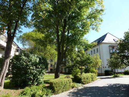 Foto - Wohnung zum Kaufen in Chemnitz 65.000,00 € 52.06 m²