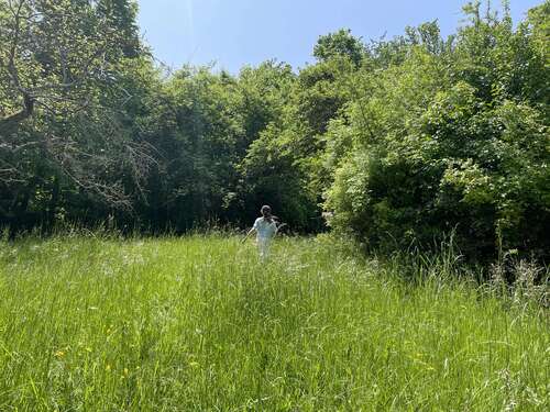 Foto - Grundstück zu verkaufen in Pöcking 2.500.000,00 € 1440 m²