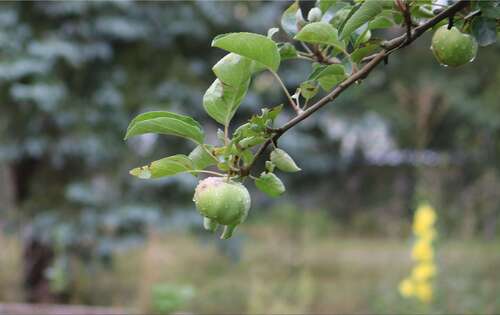 Foto - Grundstück zu verkaufen in Altlandsberg 250.000,00 € 825 m²