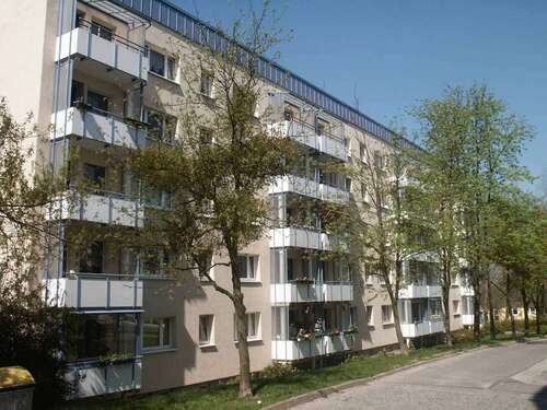 Foto - Wohnung zum Mieten in Neubrandenburg 241,00 € 40.91 m²