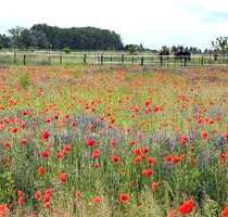 Grundstück zu verkaufen in Schwante Oberkrämer 299.000,00 € 886 m²