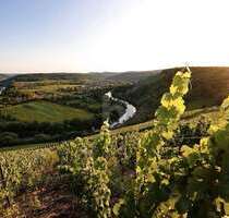 Grundstück zu verkaufen in Wiltingen 150.000,00 € 550 m²