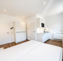 Wohnung zum Mieten in Niefern 420,00 € 18 m²