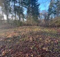 Grundstück zu verkaufen in Birkenwerder 260.000,00 € 653 m²