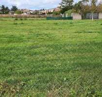 Grundstück zu verkaufen in Weisenheim am Sand 330.000,00 € 551 m²