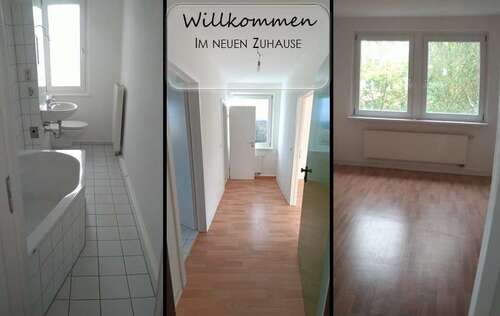 Foto - Wohnung zum Mieten in Chemnitz 255,00 € 46.24 m²