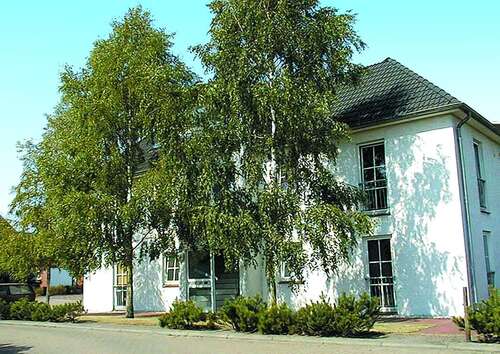Foto - Wohnung zum Mieten in Elmshorn 340,00 € 28 m²