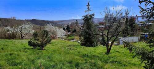 Foto - Grundstück zu verkaufen in Hergisdorf 55.000,00 € 2860 m²