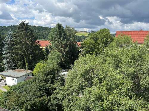 Foto - Wohnung zum Mieten in Wilkau-Haßlau 175,00 € 30 m²