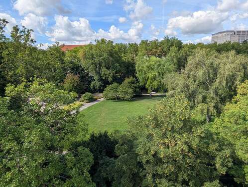 Foto - Wohnung zum Kaufen in Kassel 389.000,00 € 167 m²
