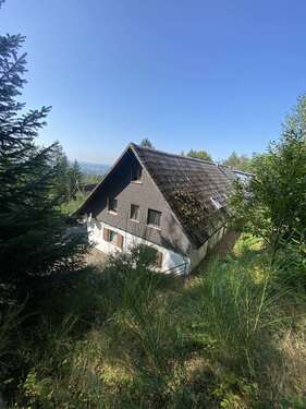 Foto - Wohnung zum Mieten in Lauf 400,00 € 33 m²